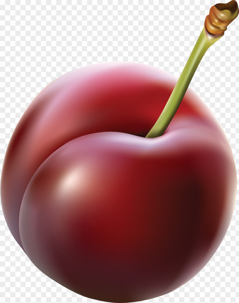 Plum Image Clip Art PNG