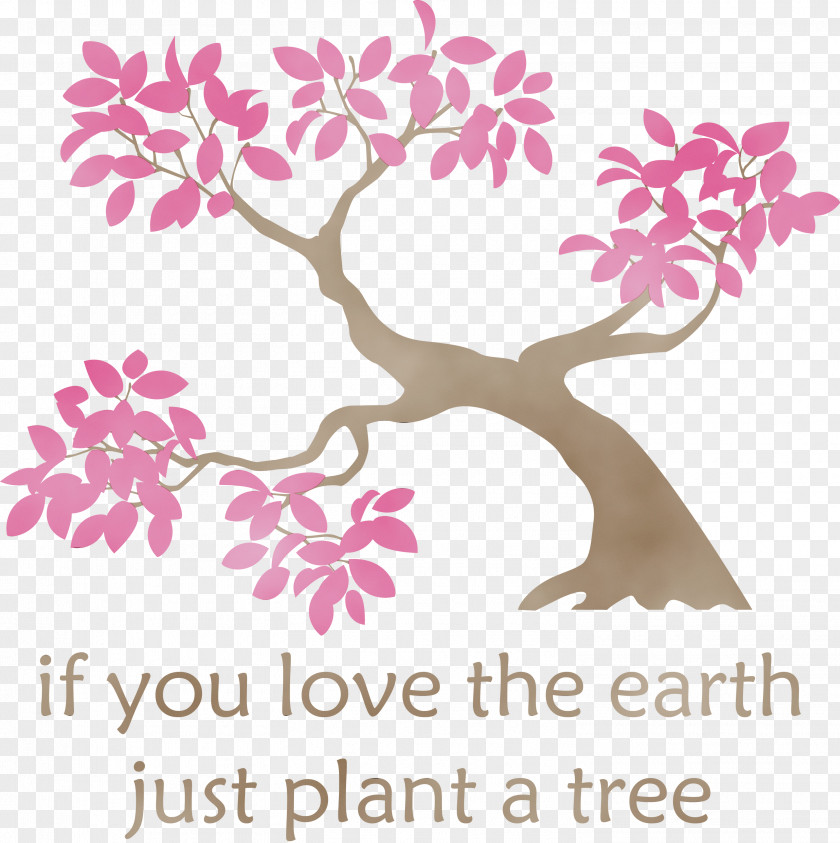 Tree Flower Twig Plant Stem Trunk PNG