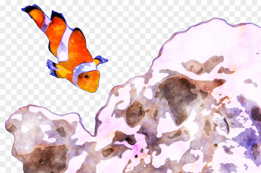 Watercolor Fish Painting Marine Biology Text PNG