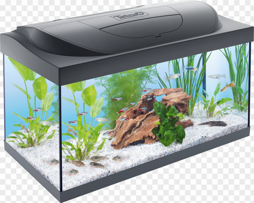 Aquarium Decoration Tetra Starter Line LED 54L Filters Fishkeeping PNG