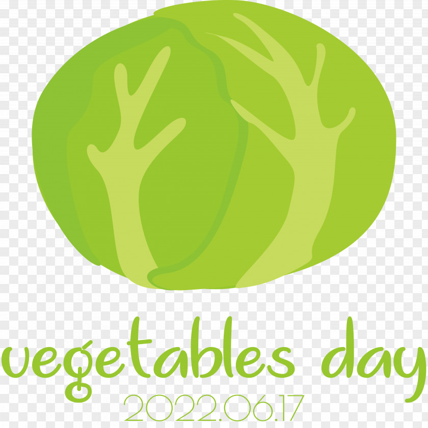 Leaf Logo Font Green Fruit PNG