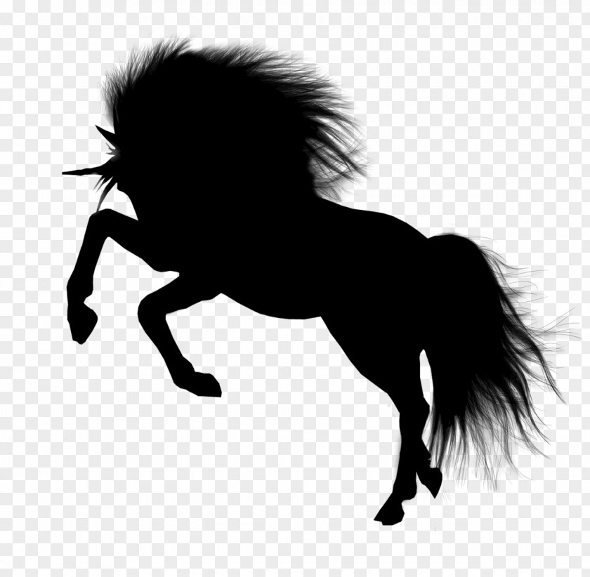Mustang Stallion Pack Animal Clip Art Silhouette PNG