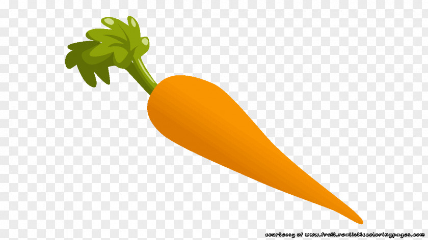 Carrots Vegetable Food Fruit PNG