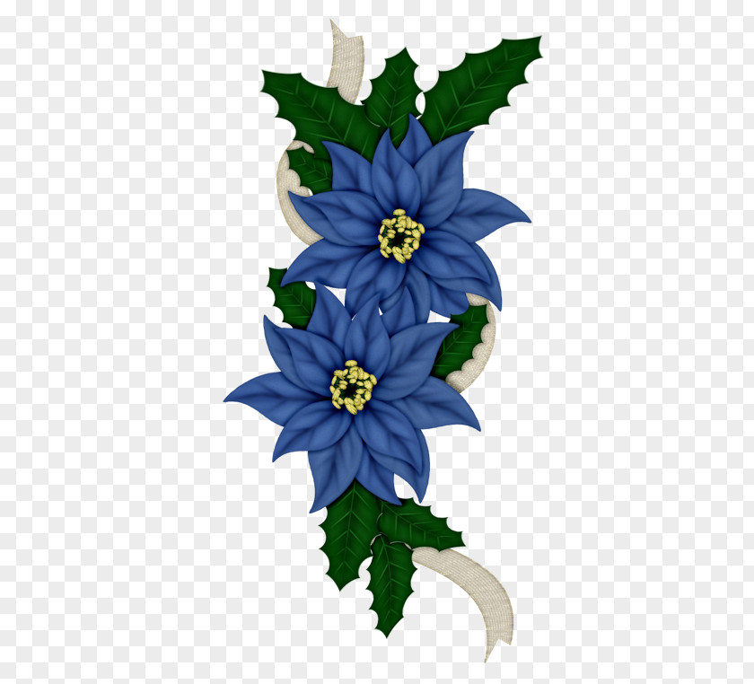 Edelweiss Wildflower Christmas Poinsettia PNG