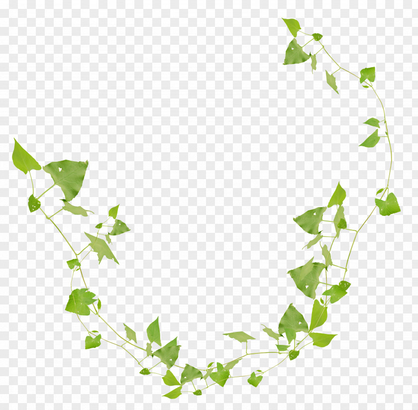 Grass Edge Download Clip Art PNG