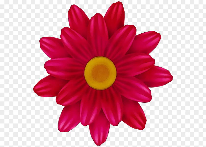 Petal Pink Flower Gerbera Barberton Daisy PNG
