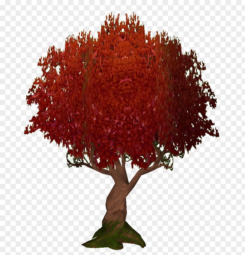 Tree Maple PNG