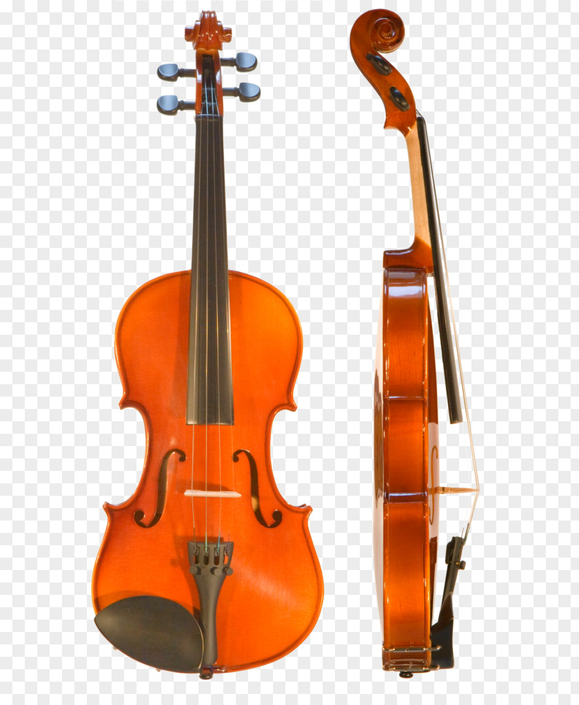 Violin Bow Viola Musical Instruments Cello PNG