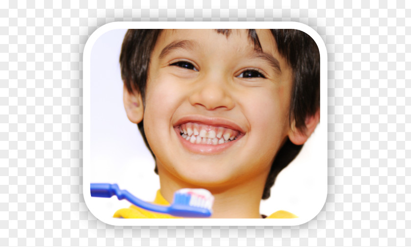 Child Tooth Brushing Pediatric Dentistry Human PNG