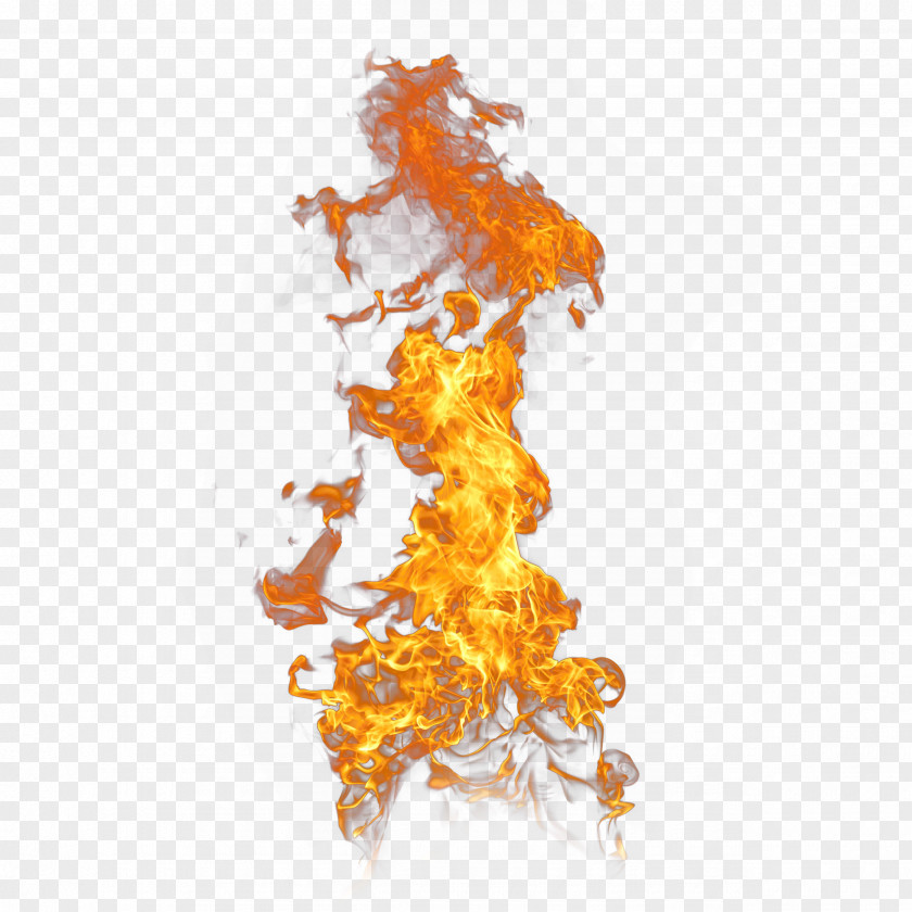 Flame Effect PNG