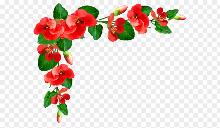 Indang Flower Desktop Wallpaper Clip Art PNG