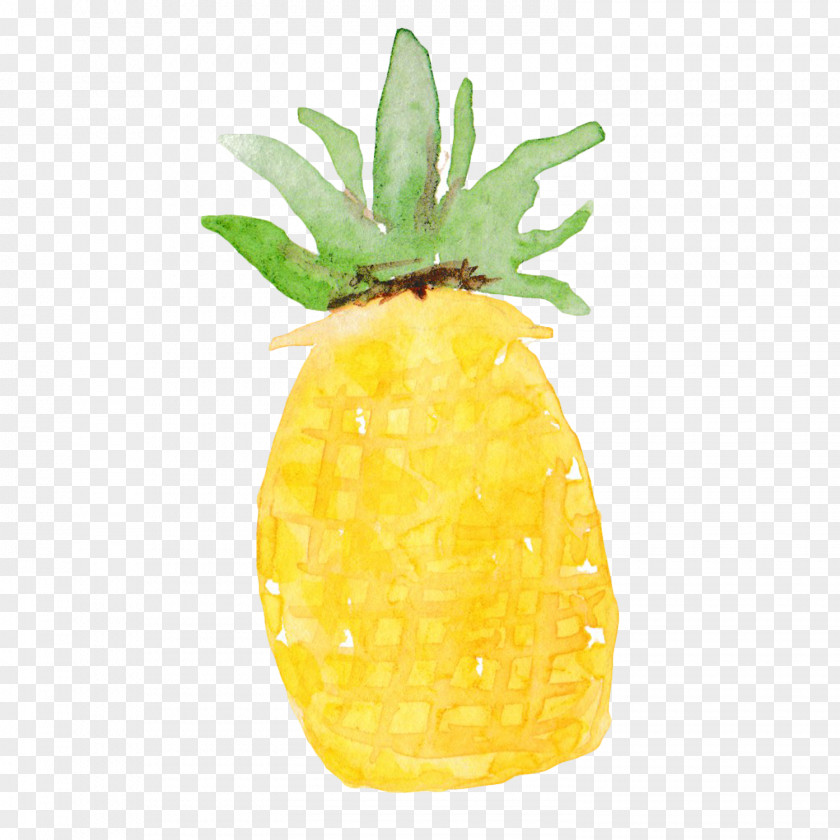 Pineapple Beach Oyster Fruit PNG