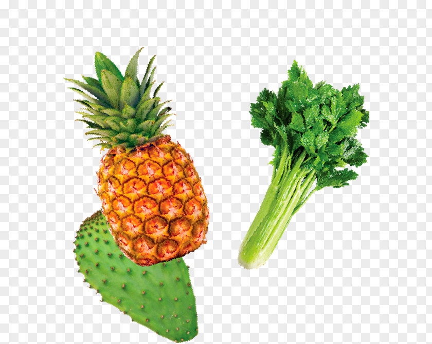 Pineapple Orange Juice Fruchtsaft Grapefruit Vegetarian Cuisine PNG