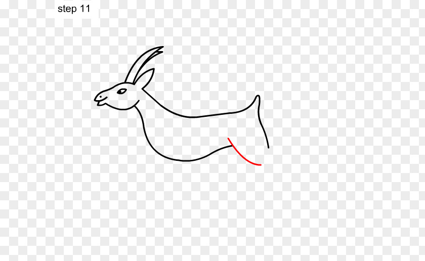 Rabbit Antelope Drawing Pronghorn PNG