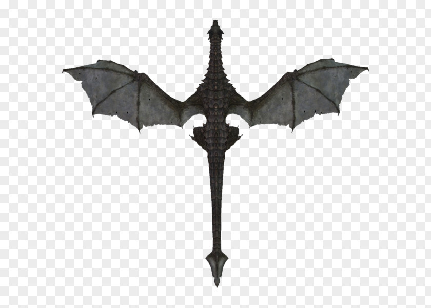 The Elder Scrolls V: Skyrim PlayStation 3 Dragon Symbol PNG