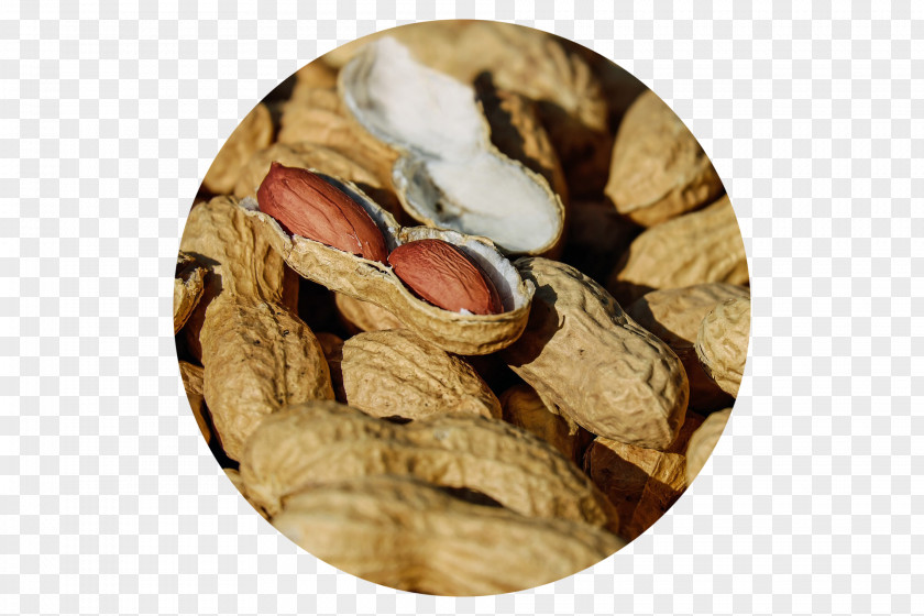 Allergy Peanut Food Butter PNG