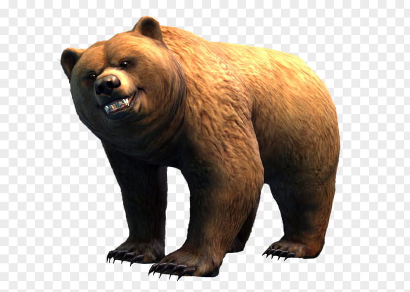 Bear Grizzly Guild Wars 2 Brown Polar PNG