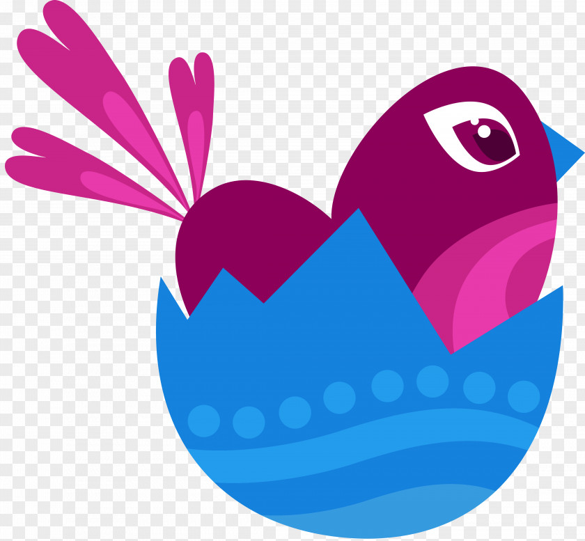 Bird Illustration Eggshell Beak Clip Art PNG