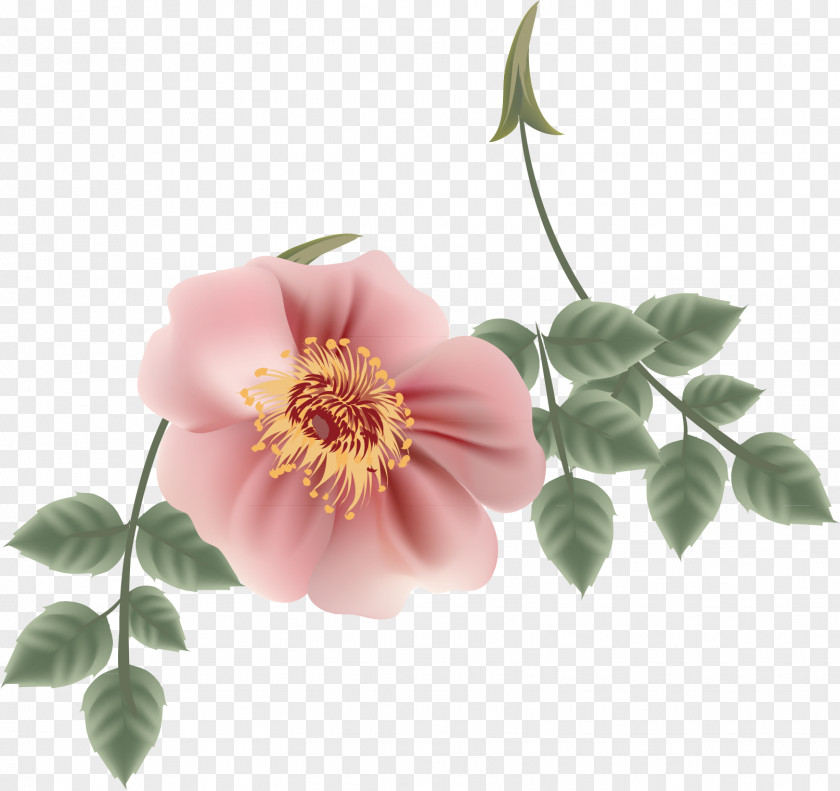 Cartoon Rose Material Flower Petal PNG