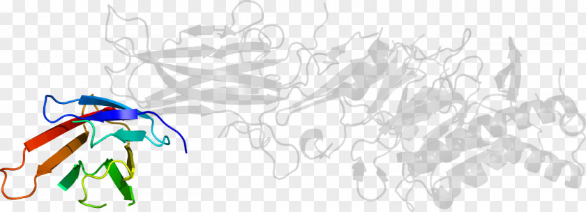 Drawing Line Art Graphic Design Clip PNG