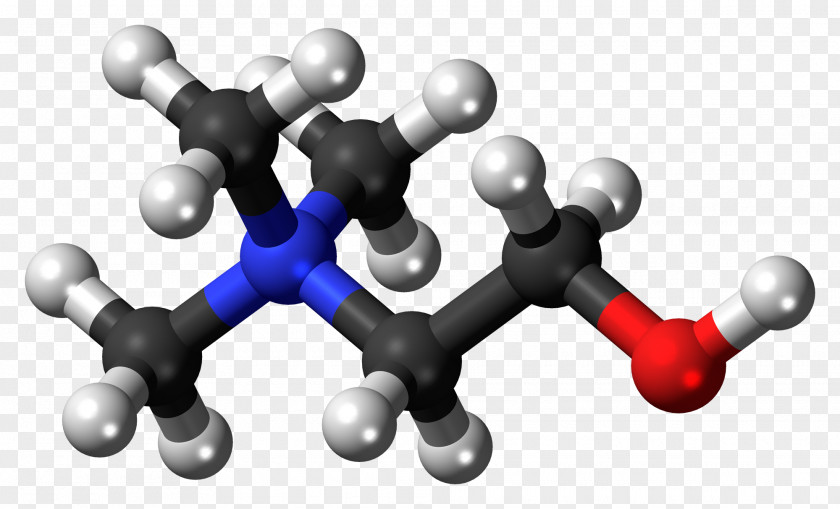 Molecule Vector Nicotinic Acetylcholine Receptor Neurotransmitter Ball-and-stick Model PNG