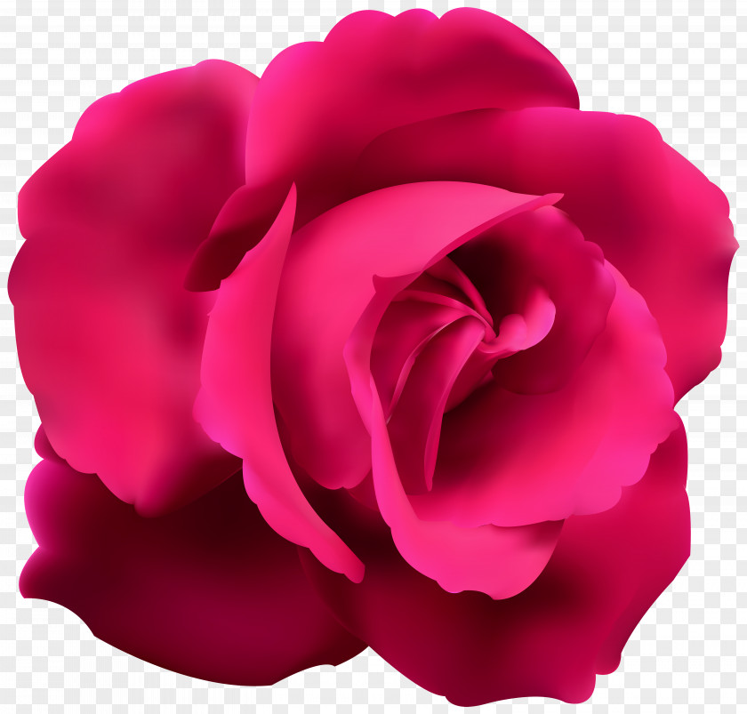 Pink Rose Clip Art Image Blue Red Flower PNG