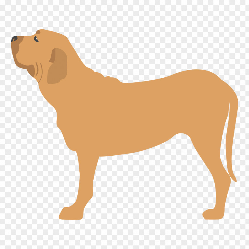 Puppy Dog Breed Fila Brasileiro Companion Shar Pei PNG