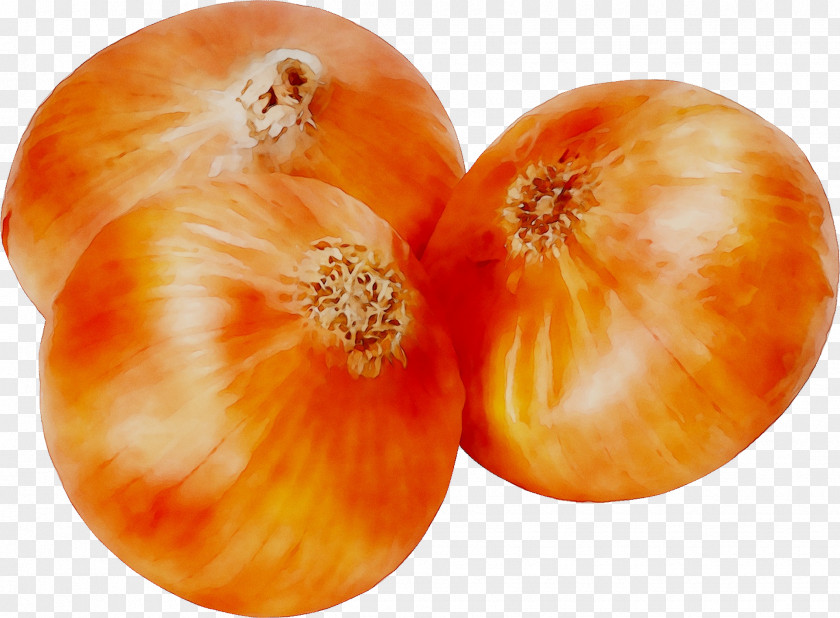 Tomato Winter Squash Onion Food PNG