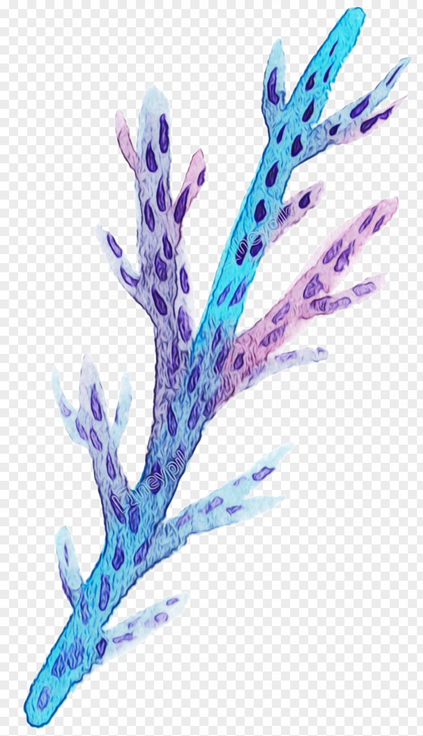 Twig Flower Coral Reef Background PNG