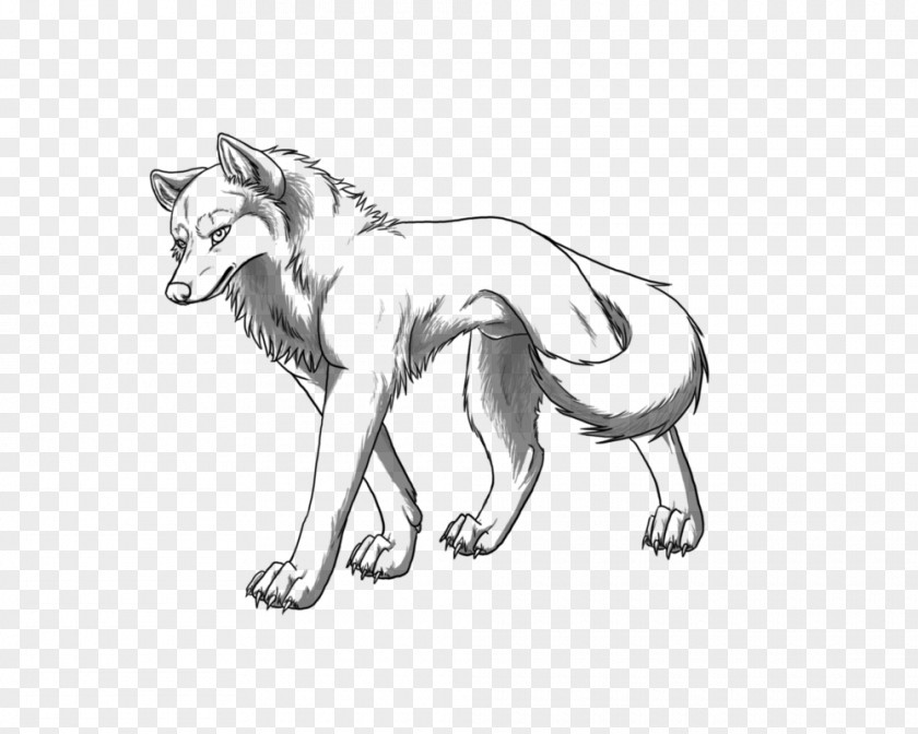 Wolf Furry Line Art Gray Drawing Sketch PNG