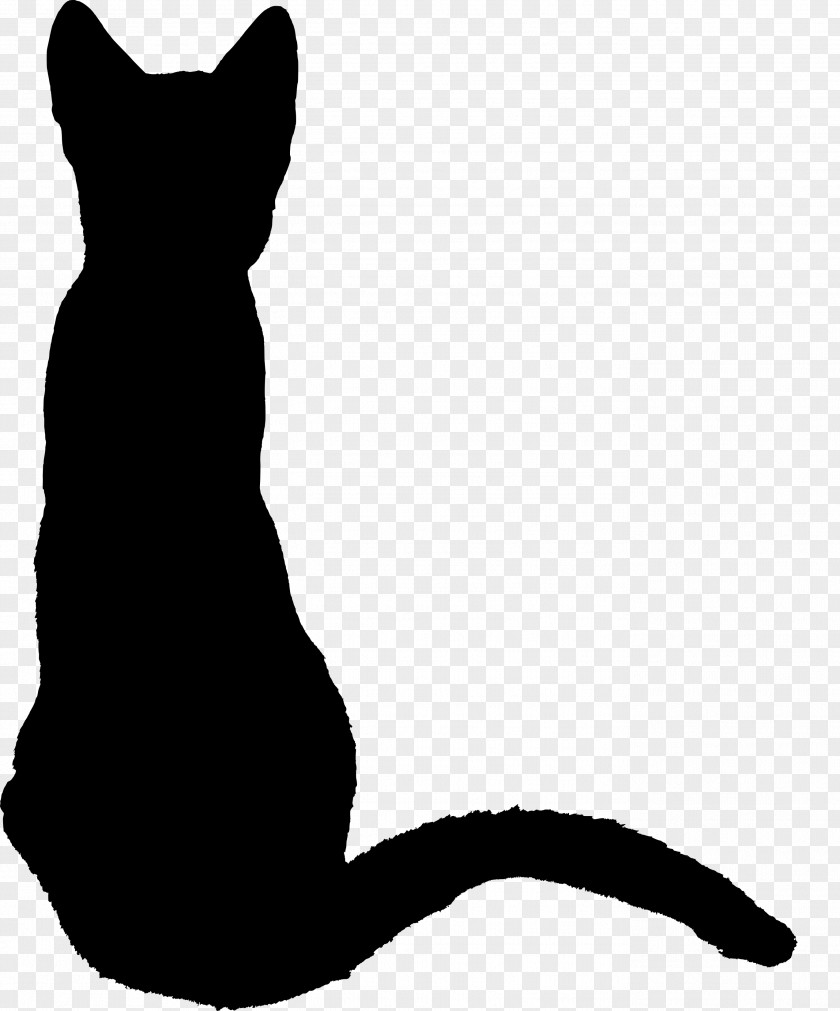 Animal Silhouettes Cat Kitten Silhouette Drawing PNG