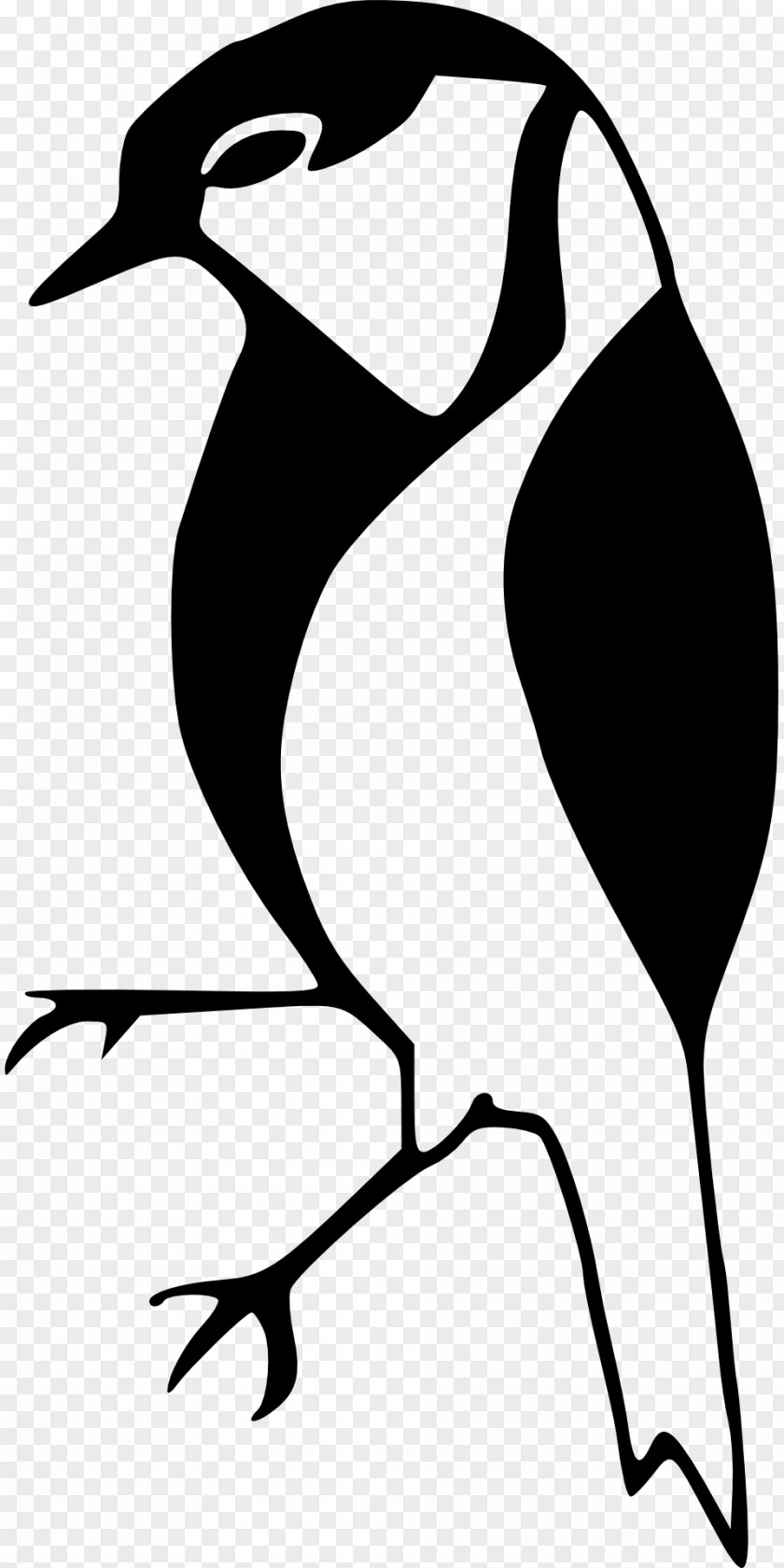 Birds Silhouette Bird Drawing Finch Clip Art PNG