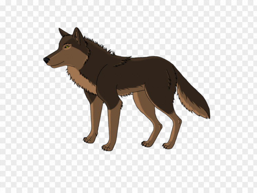 Dog Coyote Wildlife Tail PNG