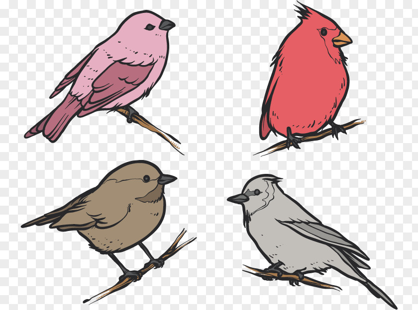 Flat Four Winter Birds Bird House Sparrow Drawing Clip Art PNG