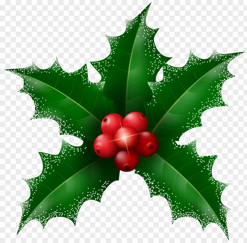 HOLLY Christmas Desktop Wallpaper Clip Art PNG