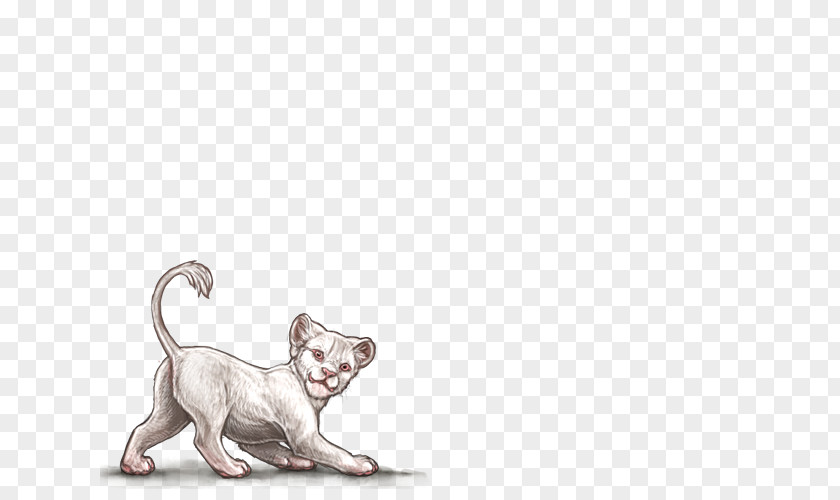 Kitten Dog Cat Whiskers Felidae PNG