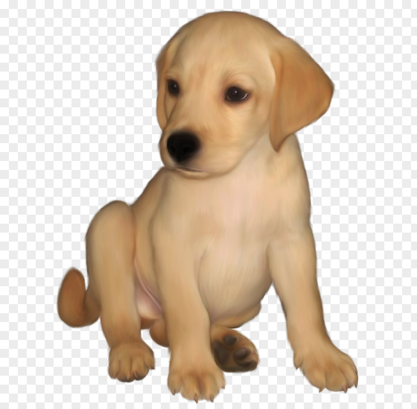 Painted Small Yellow Labrador Retriever Picture Golden Puppy Clip Art PNG