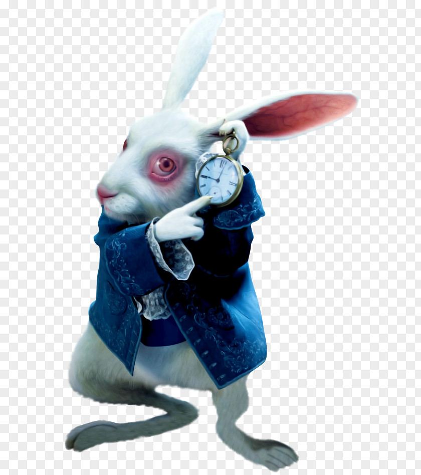 Rabbit White The Mad Hatter Red Queen Alice Of Hearts PNG