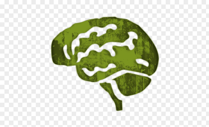 Brain Damage Cliparts Human Symbol Clip Art PNG