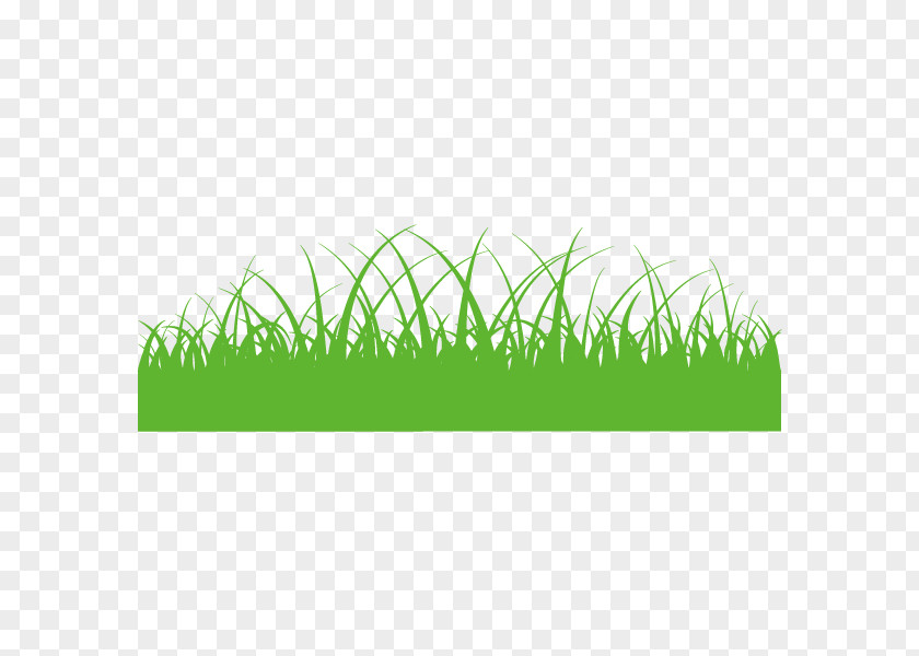 Commodity Product Design Grasses Angle PNG