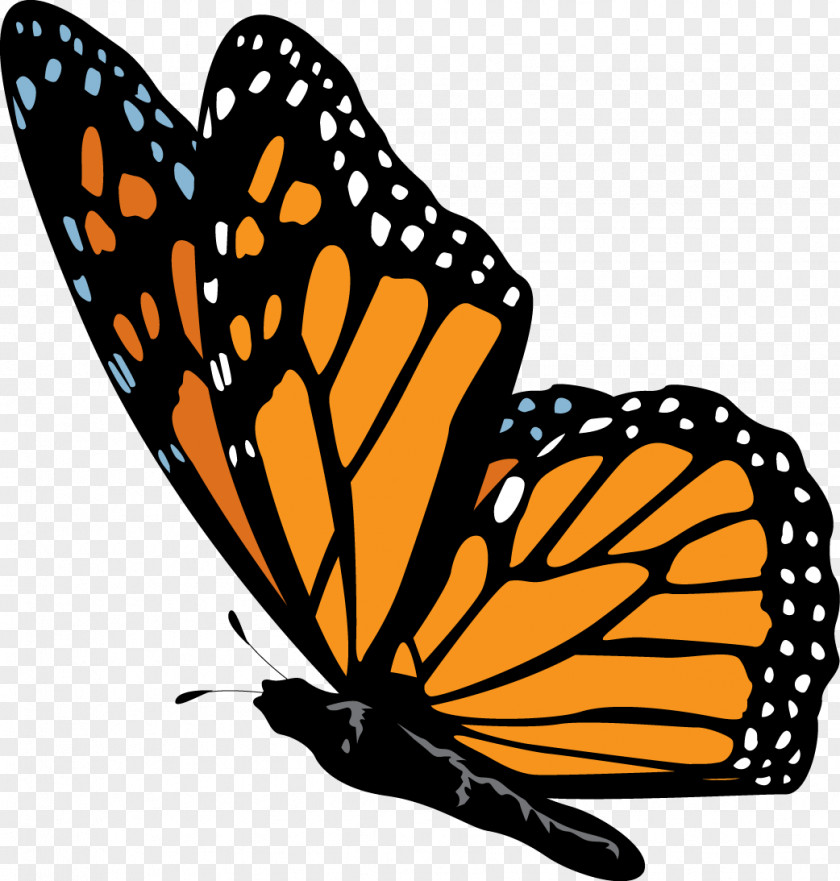 Butterfly Monarch Nymphalidae Clip Art PNG