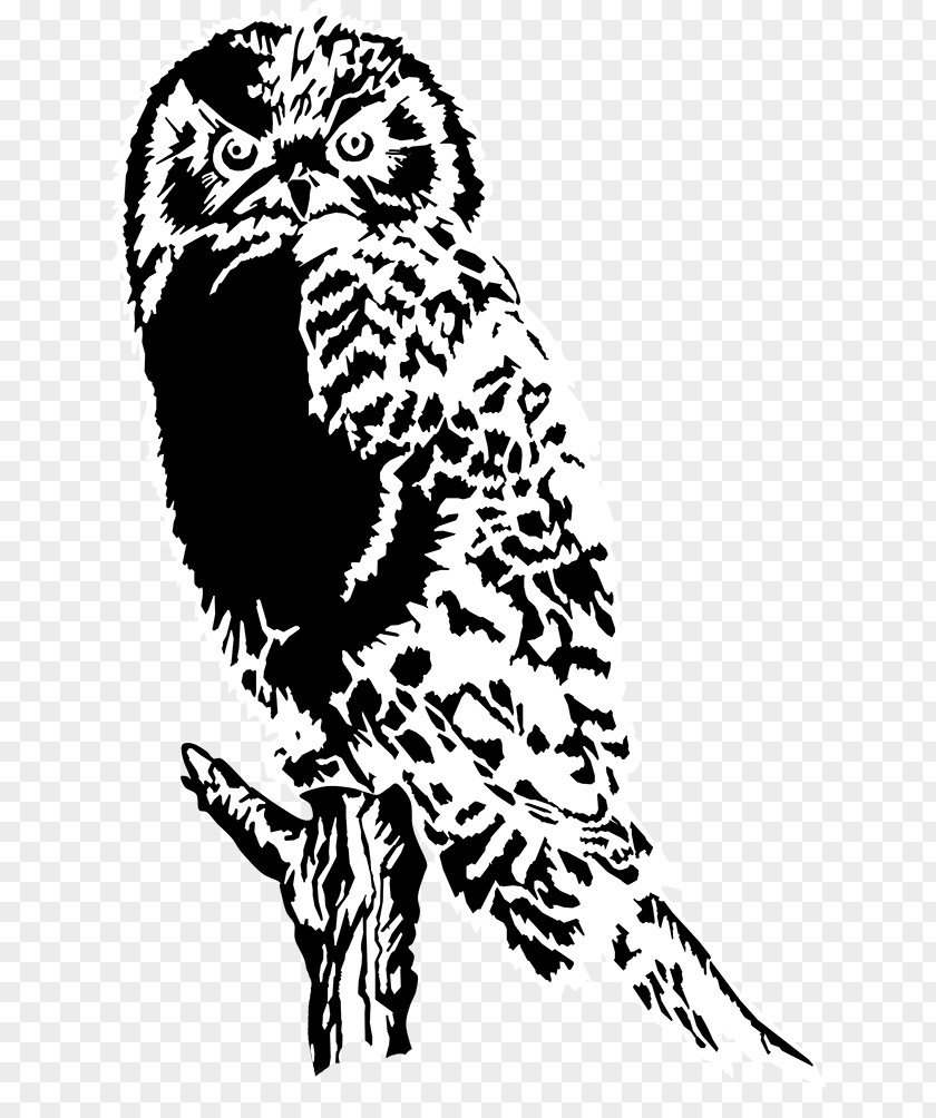 Eastern Screech Owl Black And White Bird Clip Art PNG