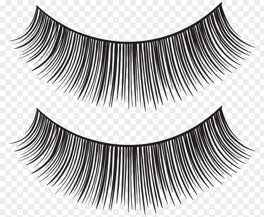 Eye Eyelash Extensions Clip Art PNG