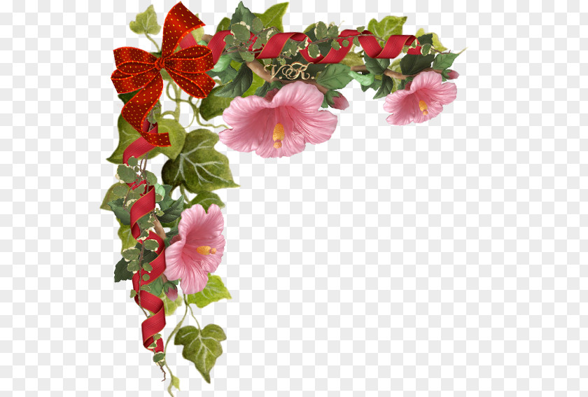 Flower Petal Blog Begonia PNG