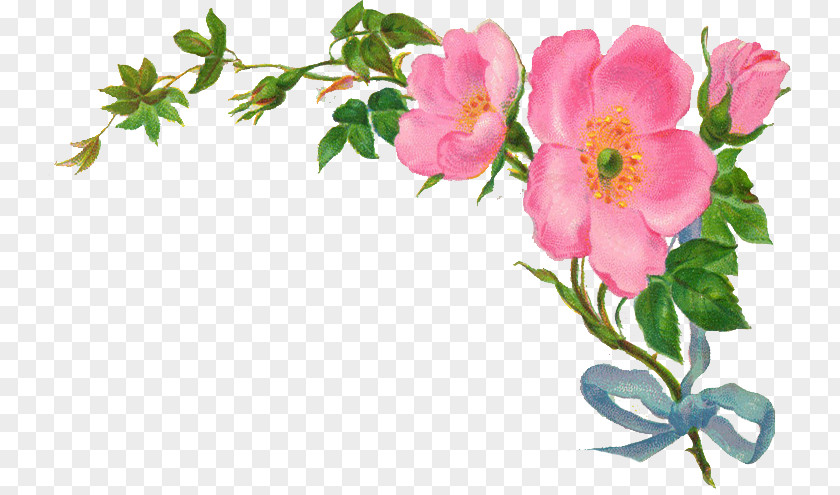 Flower Rose Clip Art PNG