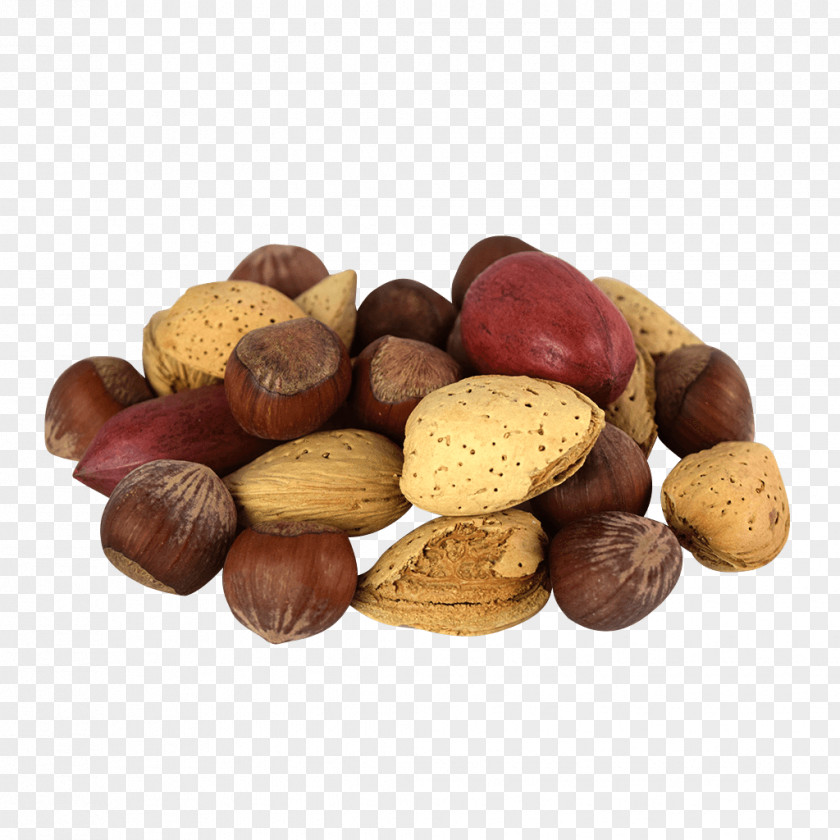 Mixed Nuts Hazelnut Praline Tree Nut Allergy Chocolate PNG