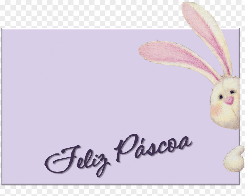 Veterinarian Rabbit Easter Bunny Greeting & Note Cards PNG