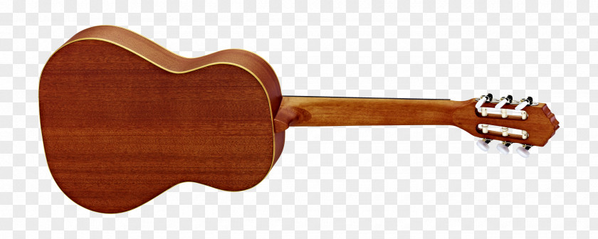 Amancio Ortega Ukulele Musical Instruments Acoustic Guitar Classical PNG