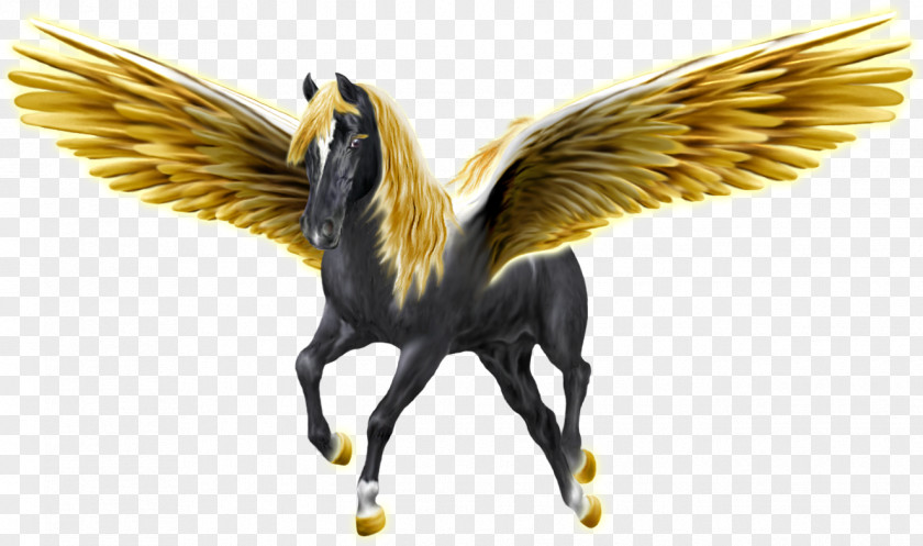 Black And Gold Pegasus Unicorn Desktop Wallpaper Greek Mythology PNG