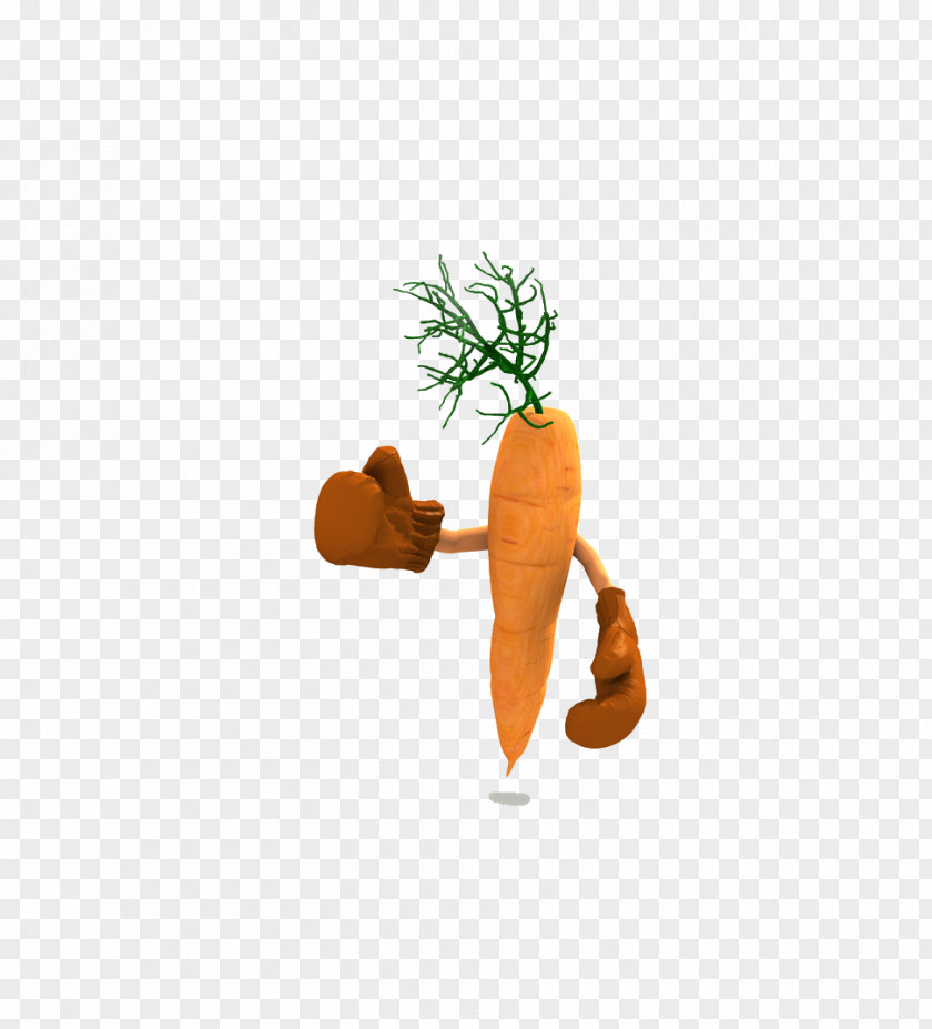Cartoon Carrot Illustration PNG